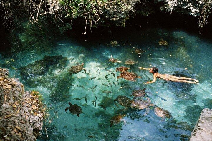Ilha Mnemba, vila Nungwi e experiência com tartarugas marinhas