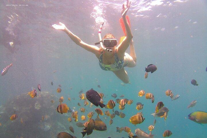 Nusa Penida Private Snorkeling Tour com West Island Trip