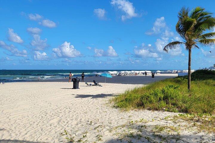 Private Transfer from Miami Airport to Hotel or Port Miami. Van.
