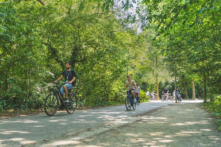 アムステルダム1日ツアー：ウォーキング、サイクリング、クルージング
