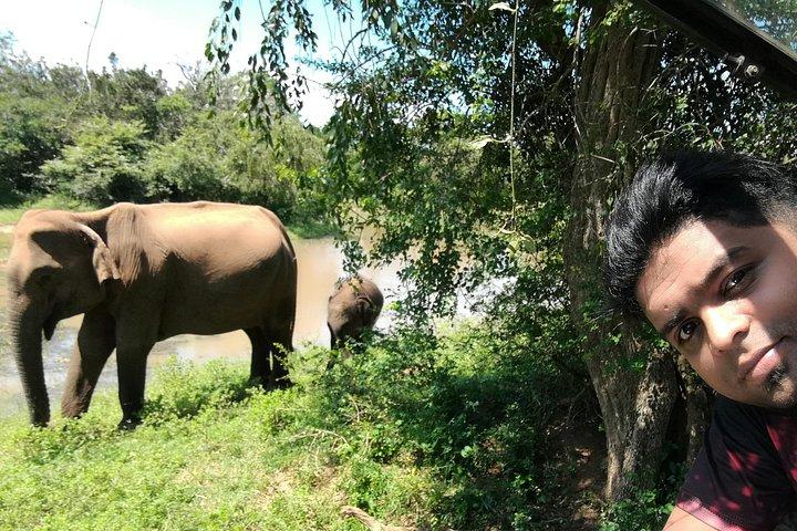 Private Dambulla Sigiriya-Tour ab Kandy mit freundlichem Chauffeur