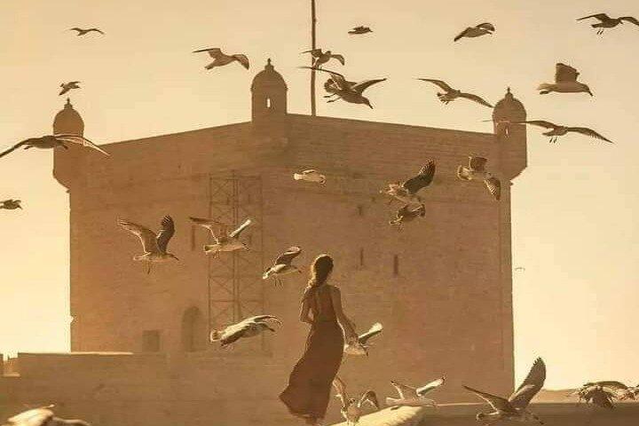 Marrakech : day trip to Essaouira beautiful the historique