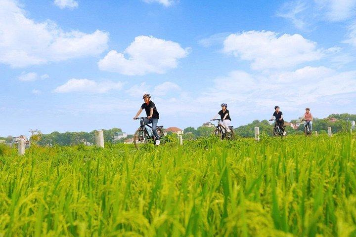 ハノイ発ニンビン 1 日ツアー (9 名からなる少人数グループ) ガイド付きツアー