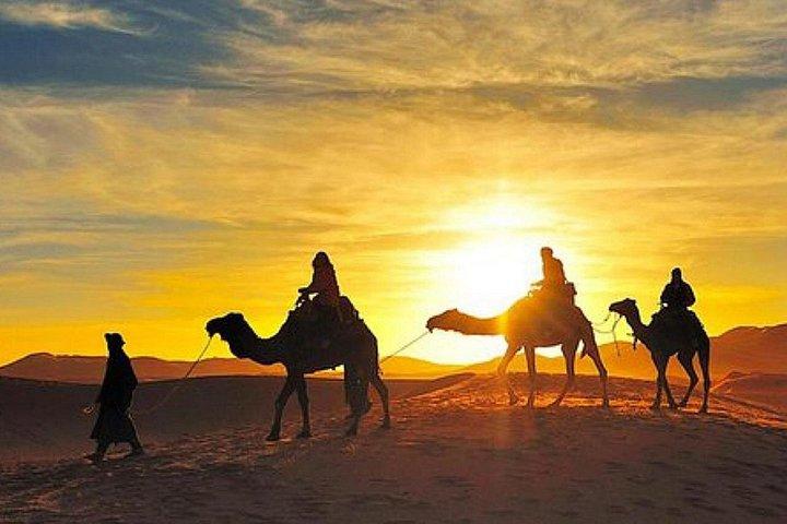 Agadir Camel Ride with Couscous & barbecue
