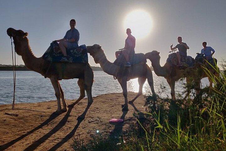 Agadir Camel Ride with Couscous & barbecue