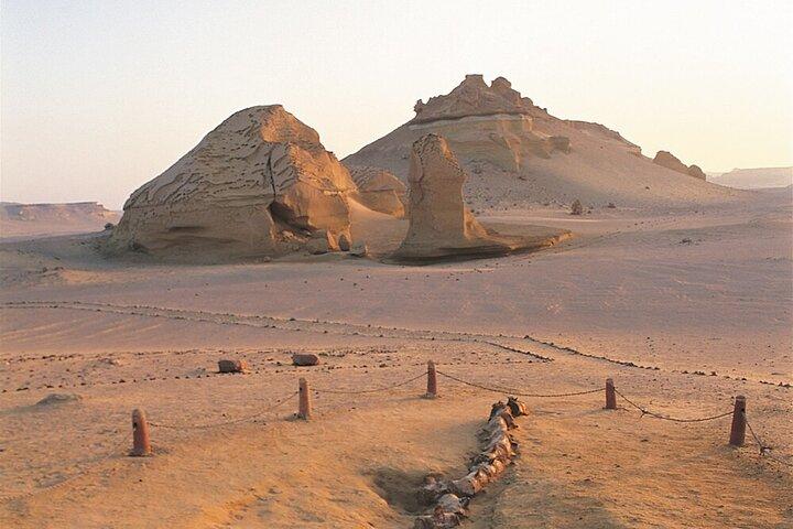 Safaritur till El Fayoum från Kairo Wadi El Rayan & Wadi Hitan & Sandboarding