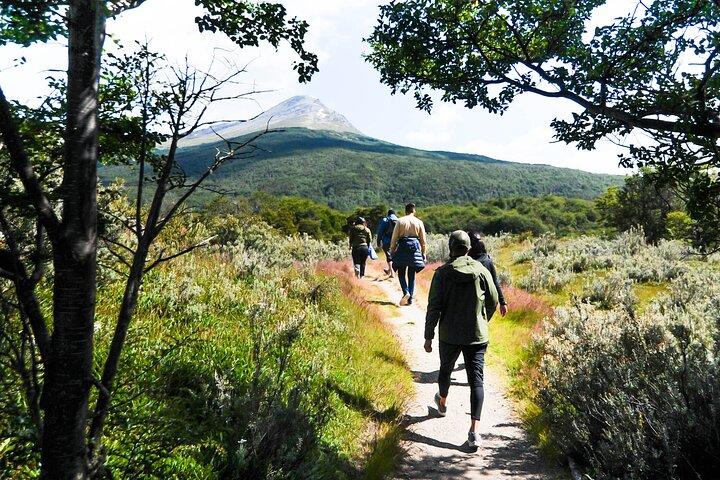 Halv-dag Lille Gruppe Tierra del Fuego National Park Tour