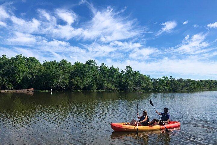 Hoteller i nærheden af New Orleans Kayak Bayou Swamp Tour