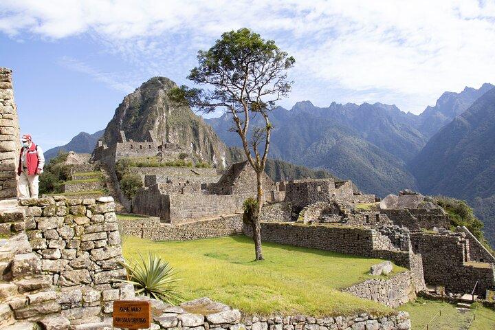 Cusco a Machu Picchu Full-Day Tour: Vistadome & Observatory Train