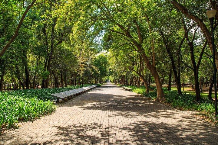 Tour privado Parque Chapultepec en Bicicleta Guiado