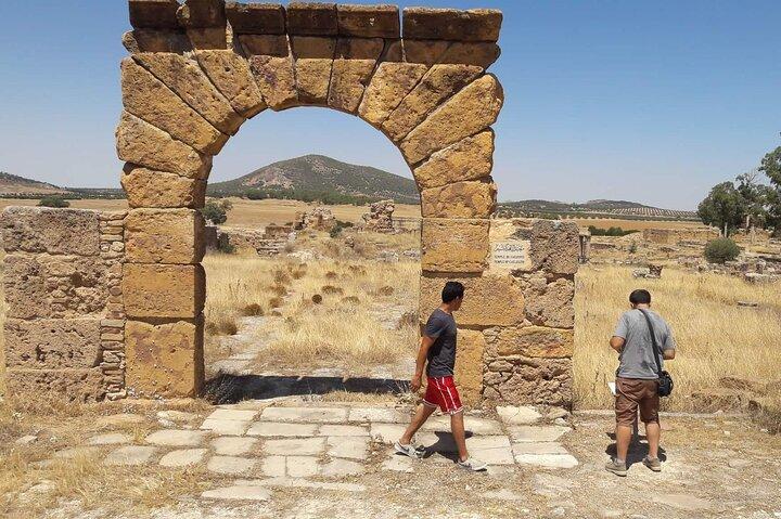Zaghouan、Thuburbo Majus、Dougga チュニスからのプライベート ガイド付きツアー