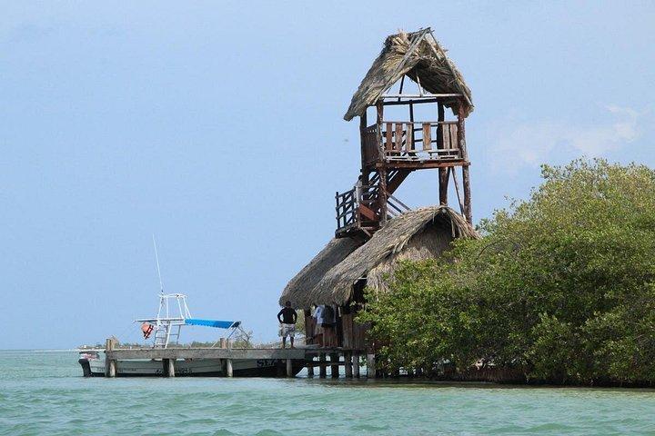 Tour guiado de día completo a Isla Holbox desde Cancún