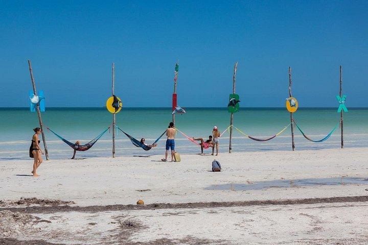 Tour guiado de día completo a Isla Holbox desde Cancún