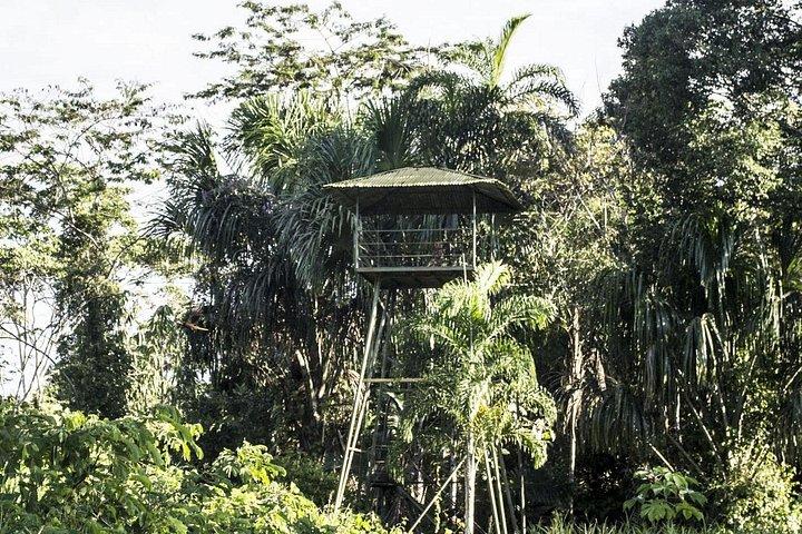 滝と温泉を楽しむ5日間のマヌージャングルツアー