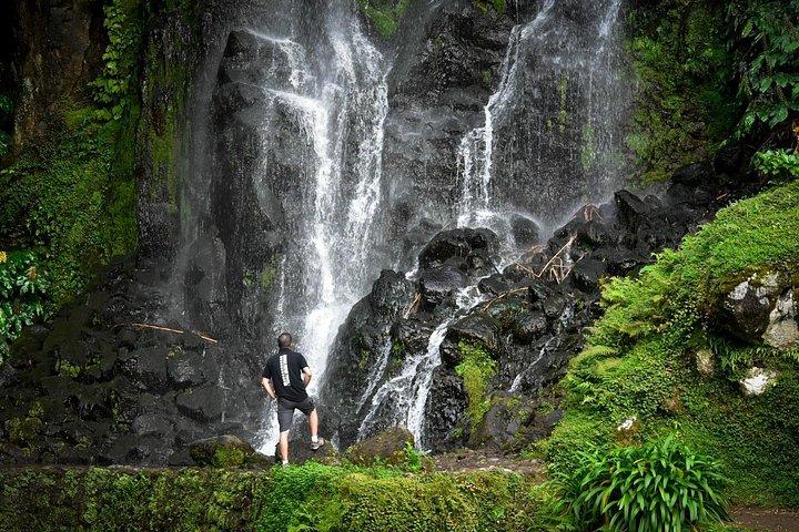 アゾレス サン ミゲル島 | Furnas & Nordeste ランチ付き