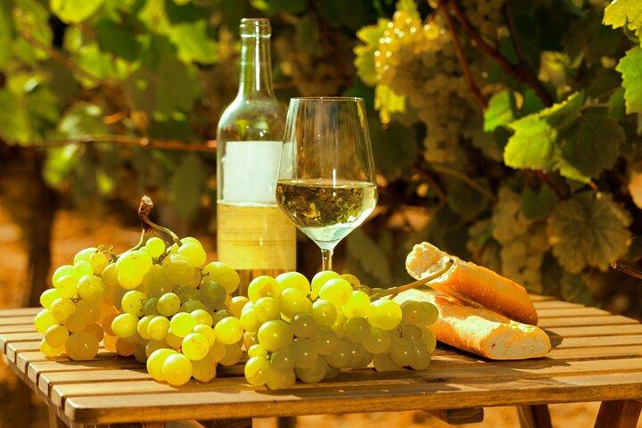 Tour privato in doppia degustazione di vini a Frascati - Esclusivo