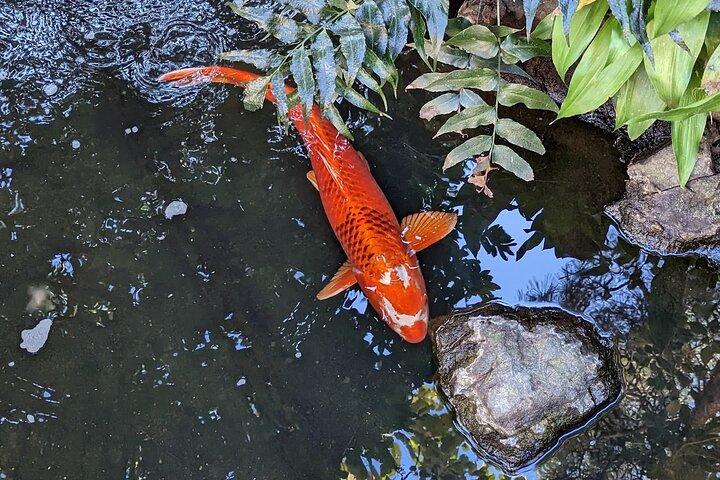 浅草：歴史ツアー後の伝統的な絶品ランチ