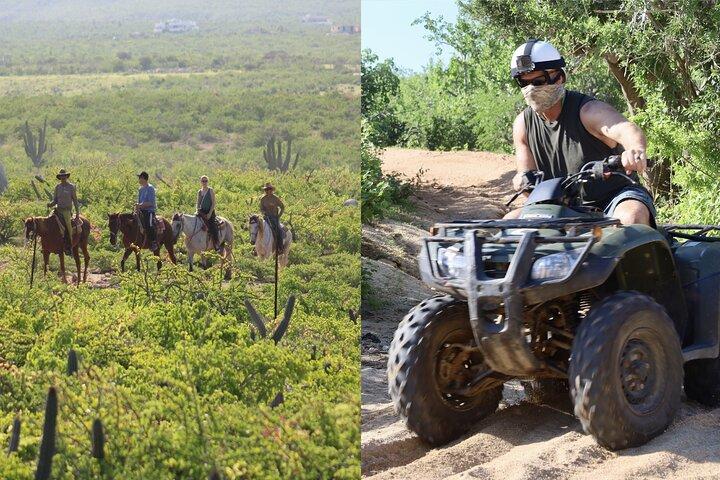 Tour combinato di Los Cabos ATV e Pacific Horseback Riding
