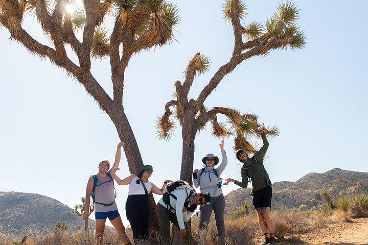 Hoteller i nærheden af Joshua Tree Full Day Private Tour & Hike
