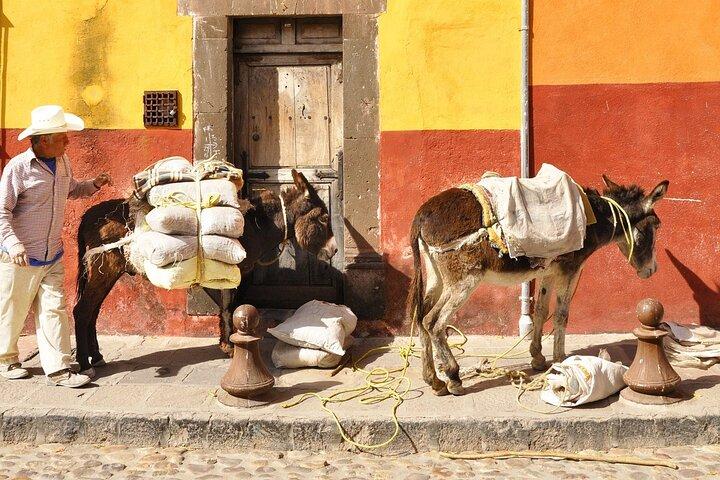 Trasferimento privato Tequila a San Miguel de Allende con 2 ore per visitare la città
