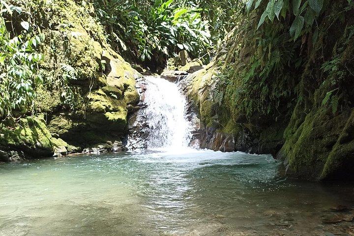 Private Full Day Mindo Tour with Pickup