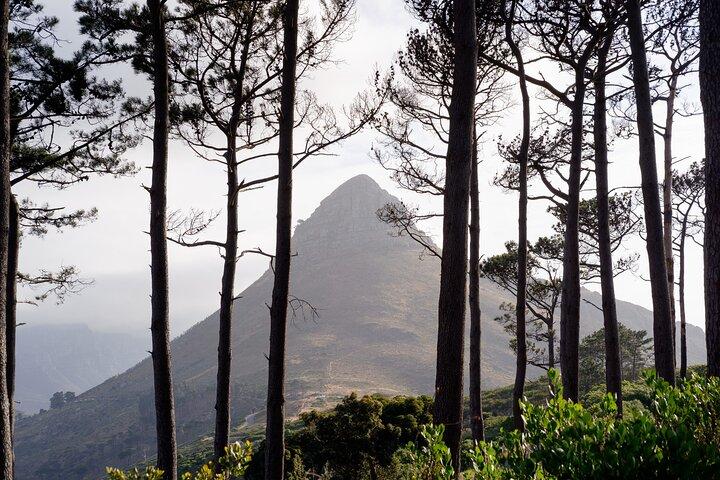 Excursão pela Cidade do Cabo com café da manhã, jantar e presente com pingente TM