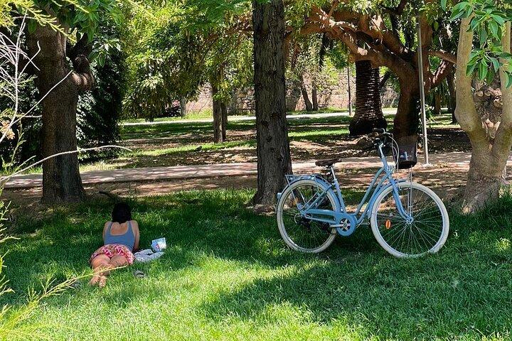Tour de Três Parques | Passeio Privado de Bicicleta, E-Bike, E-Step ou Segway