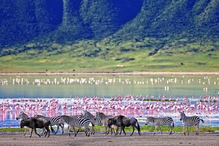 Tour de 3 días a Tarangire, Ngorongoro y el parque del lago Manyara