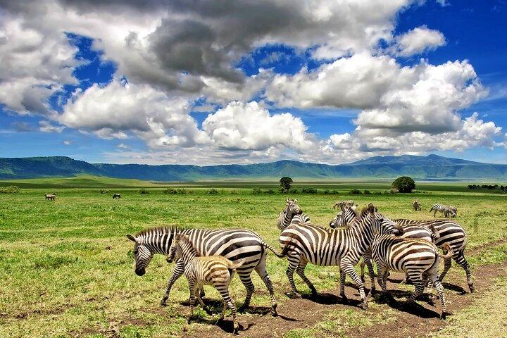 Tour de 3 días a Tarangire, Ngorongoro y el parque del lago Manyara
