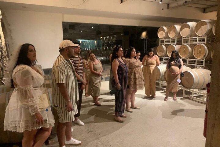 Vinsmagning Valle de Guadalupe & Casa Frida