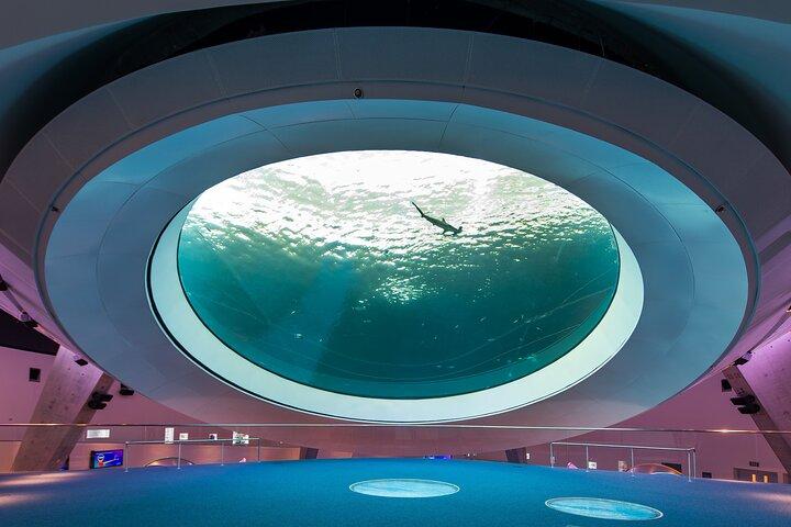 Eintrittskarten für das Frost Science Museum