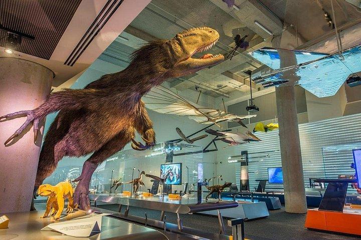 Eintrittskarten für das Frost Science Museum