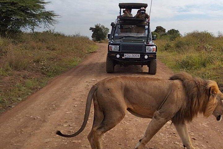 Nairobi National Park privé dagtour