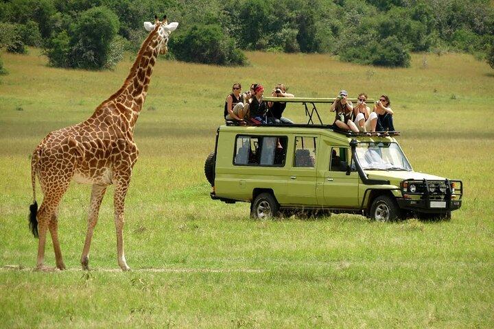 Safari de camping économique de 3 jours dans le Masai Mara sur un Land Cruiser 4X4