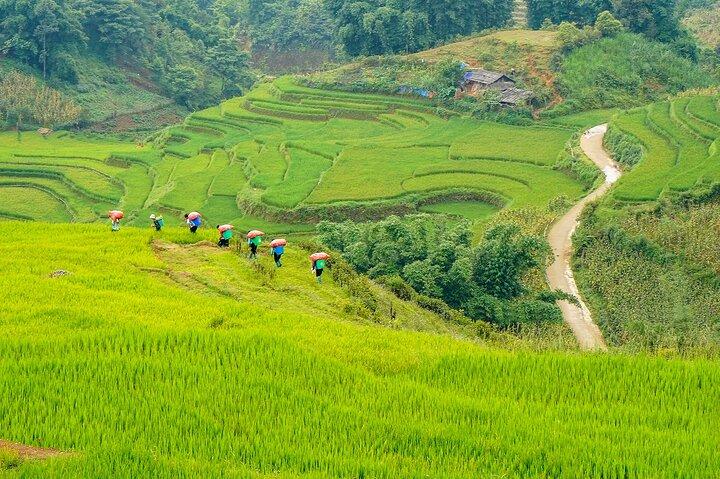 Trekking a Sapa 3 días 2 noches (casa de familia) - Salida desde Hanoi