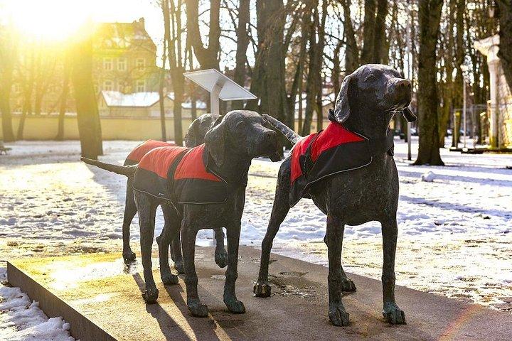 ビリニュスを探索：旧市街とウズピスのガイド付きウォーキングツアー
