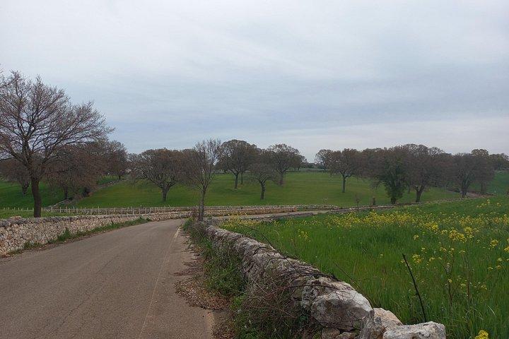 Discovery Villages Puglia With Ebike
