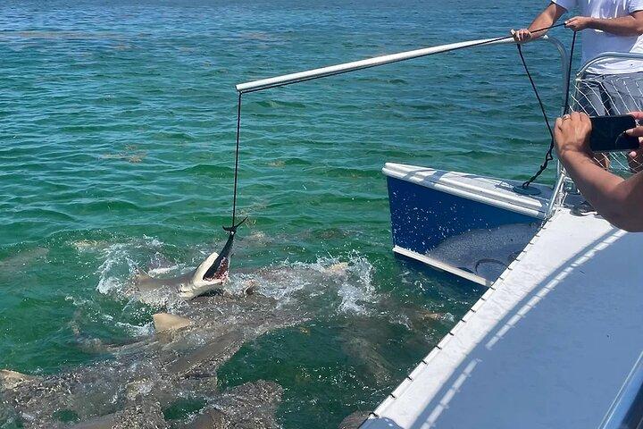 Aventure d'observation des requins et de la faune à Key West