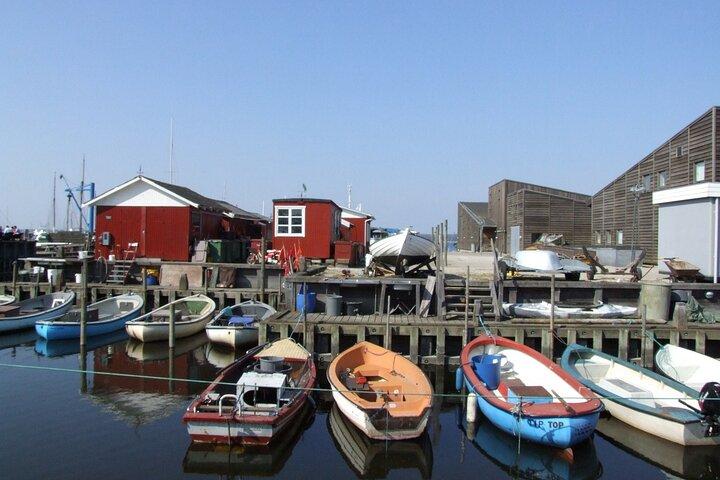 Roskilde, Frederiksborg y Kronborg Private Tour from Copenhague