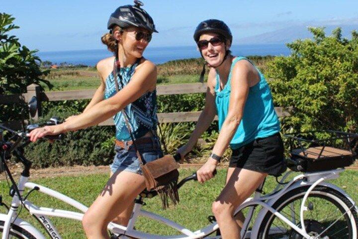 西マウイ eBike セルフガイド アイランド アドベンチャー ツアー