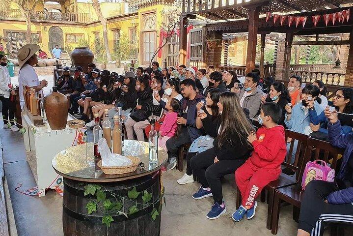 Tour Nocturno de Bodegas en Ica