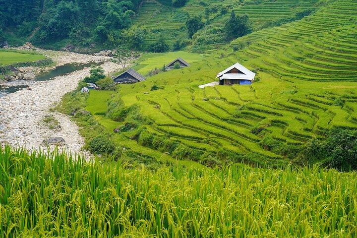 Trekking a Sapa 3 días 2 noches (casa de familia) - Salida desde Hanoi