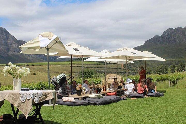 Visite privée d'une journée complète des vins de Stellenbosch