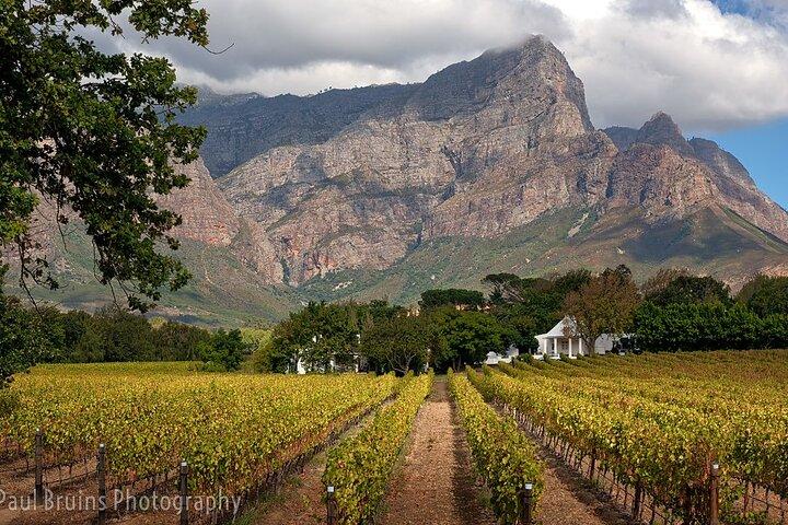 Visite à arrêts multiples du tramway à vins de Franschhoek au départ du Cap.