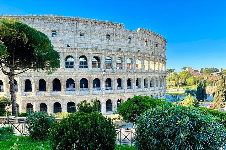 Visita turística VIP con chofer en Roma Recogida y regreso al hotel