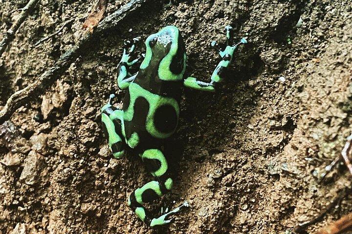 ナウヤカの滝アドベンチャー - オールインクルシブ1日ツアー