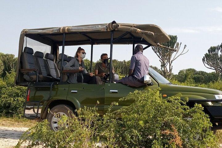 Kenya frivillig safari