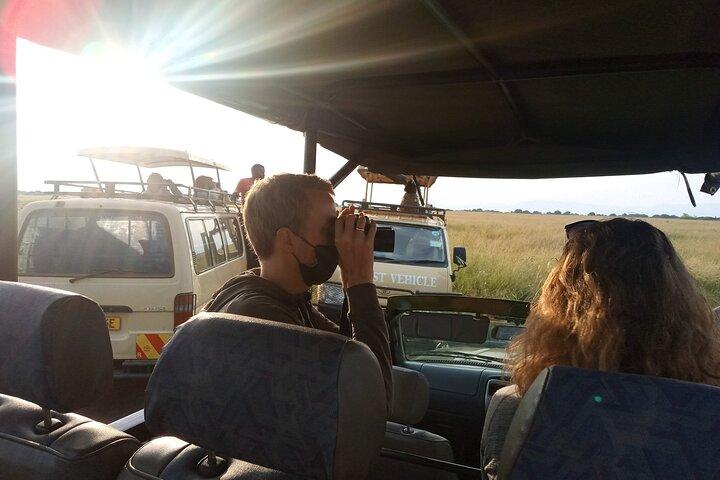Kenya frivillig safari