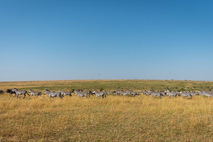 6-daagse privésafaritour