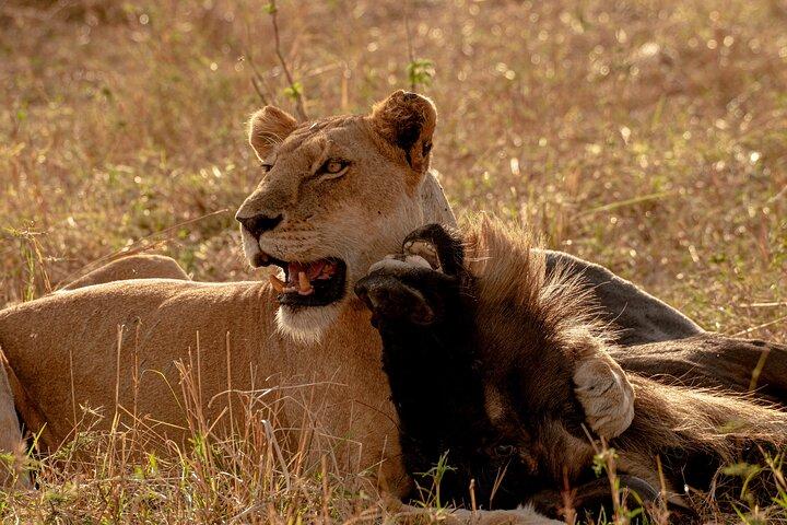 6 Days Private Safari Tour